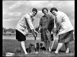 L-R: Helen Kernen, Bonnie Seeholzer, and Dorothy Christen.